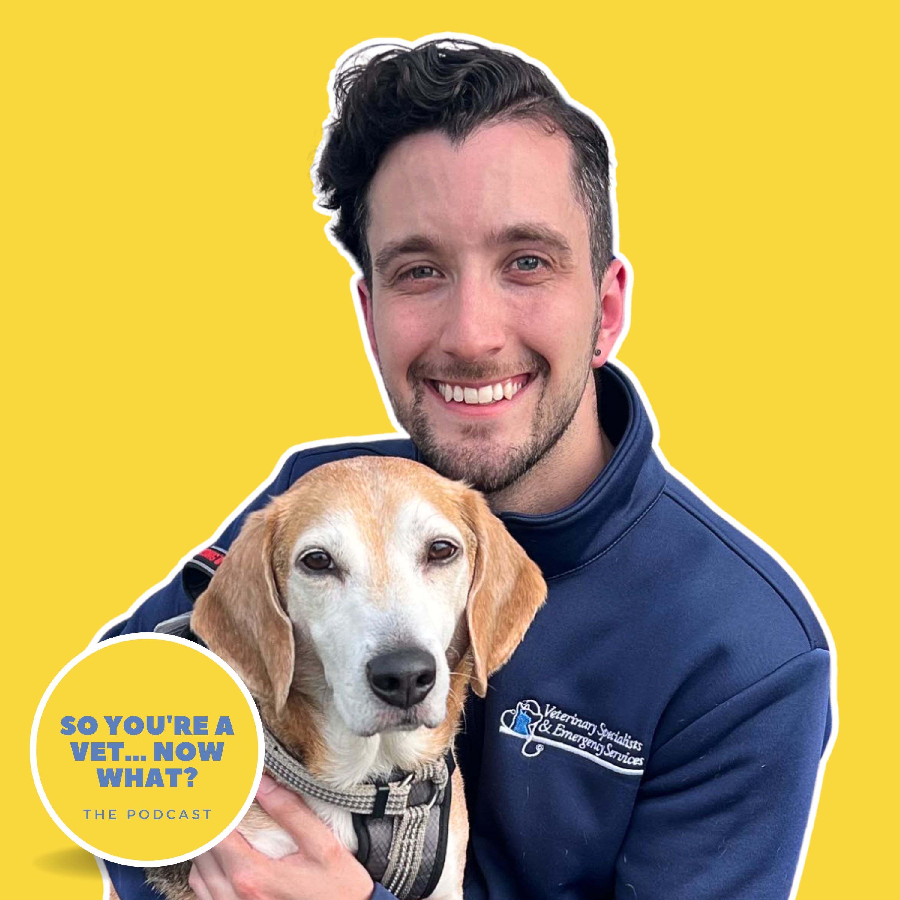 The \'So You\'re A Vet... Now What?\' Podcast