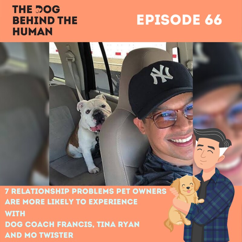 Artwork for podcast The Dog Behind The Human