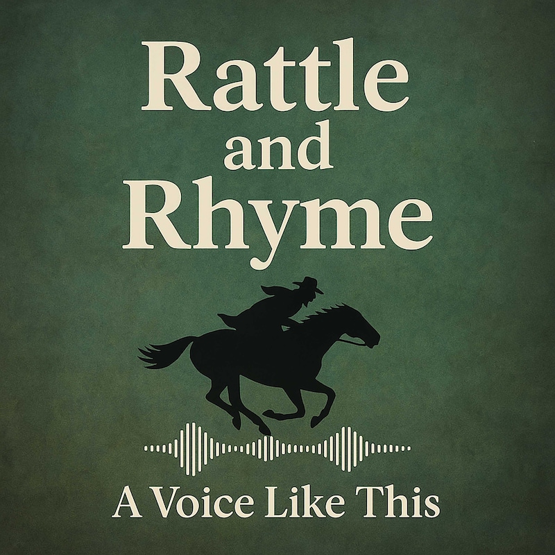 Artwork for podcast A Voice Like This