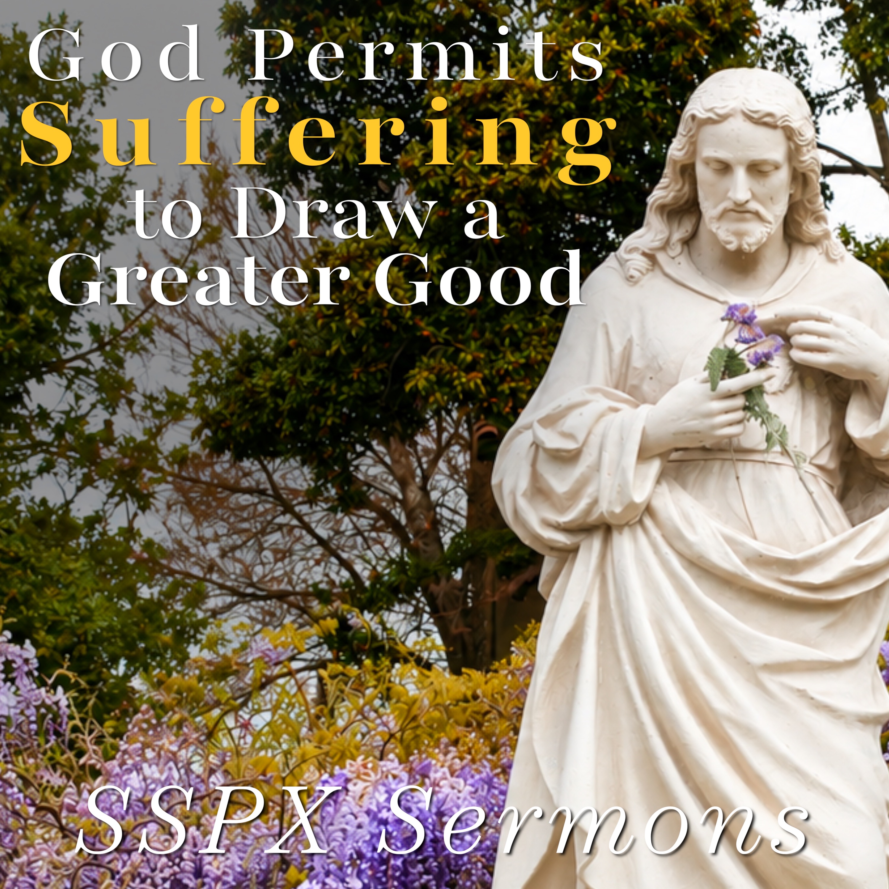 God Permits Suffering to Draw a Greater Good – SSPX Sermons