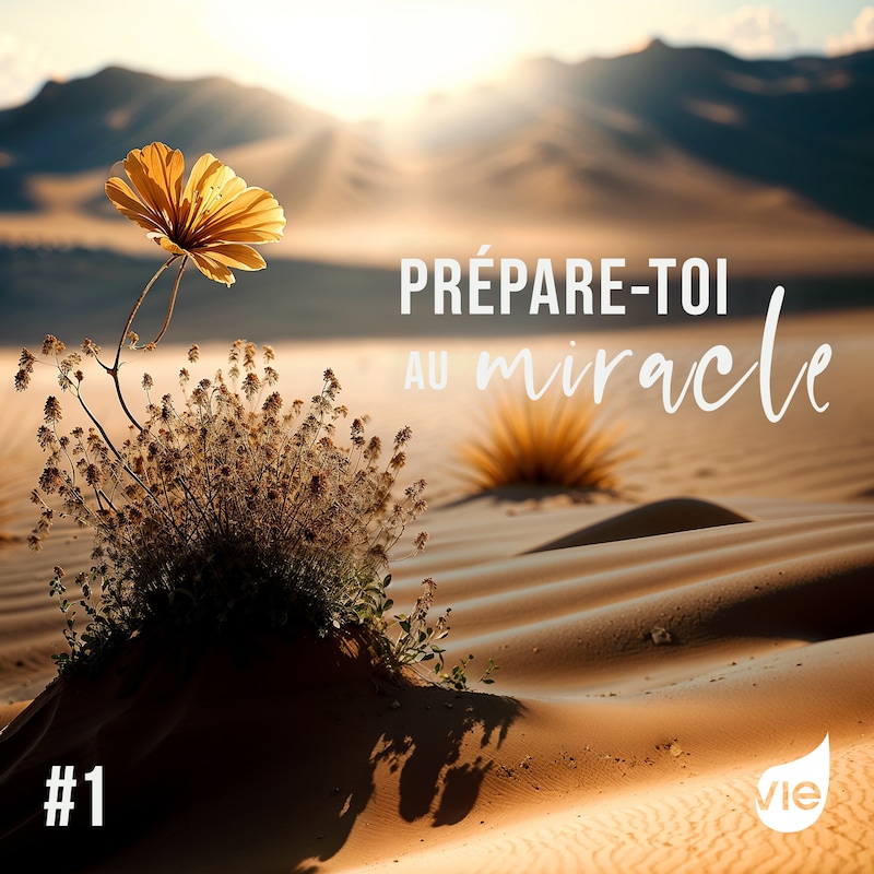 Artwork for podcast Prépare-toi au miracle