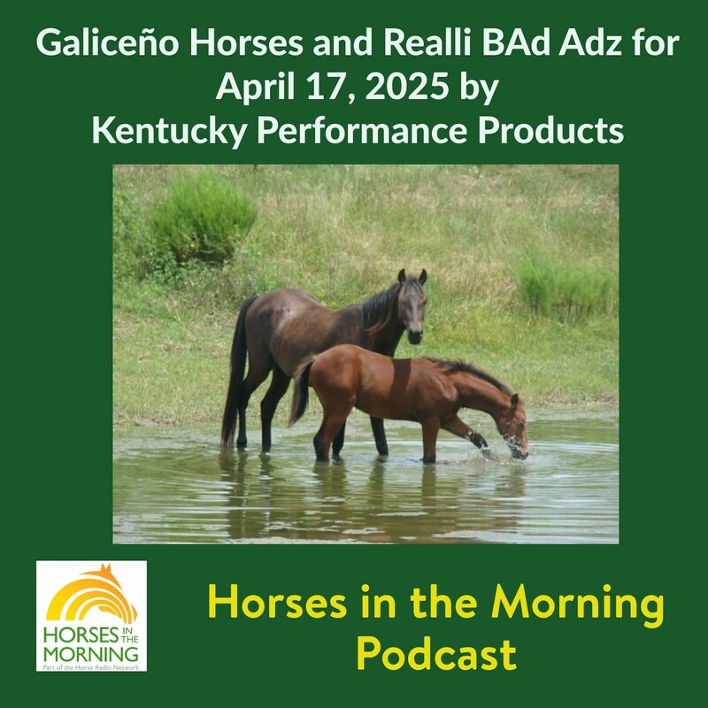 Artwork for podcast Horses in the Morning