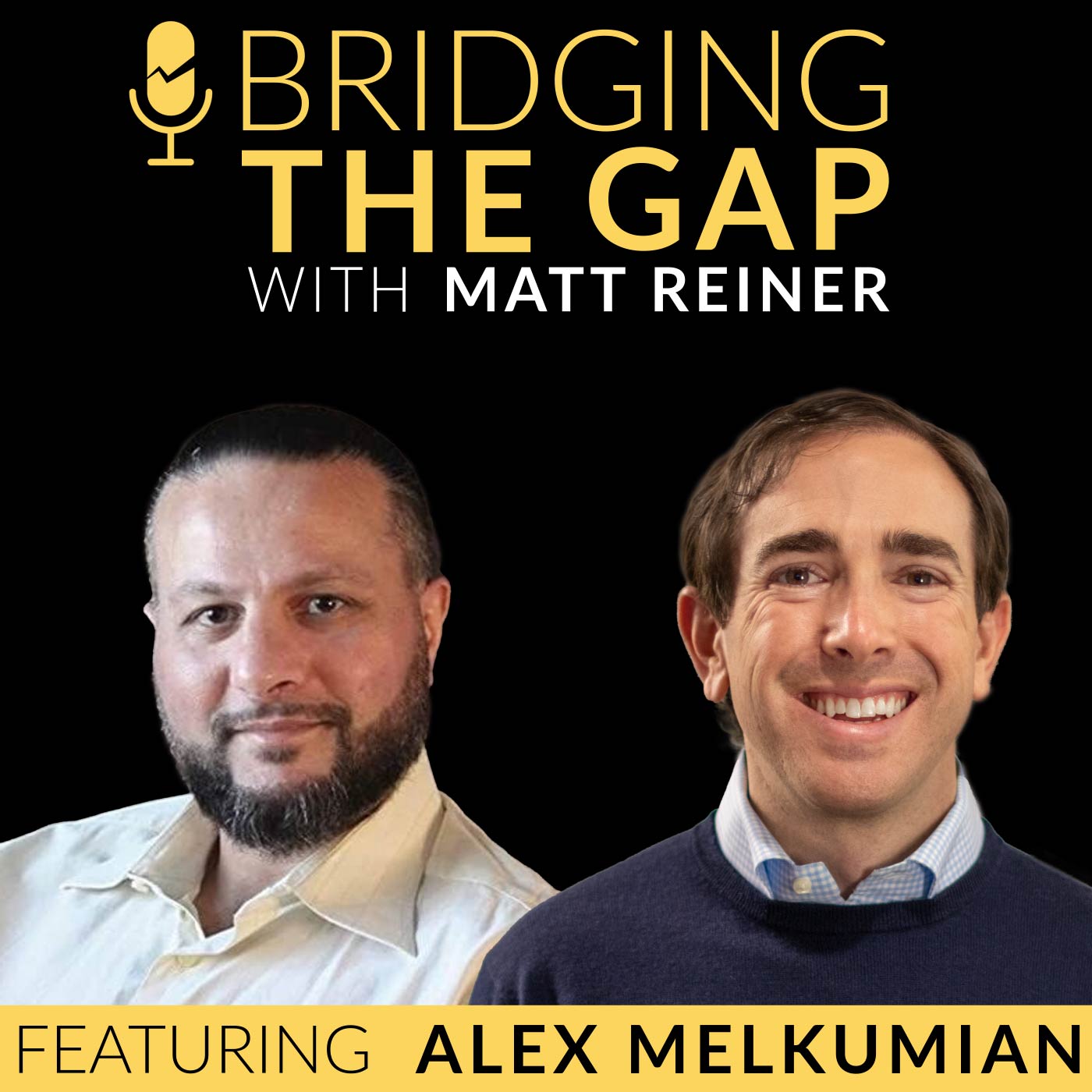 Artwork for podcast Bridging The Gap