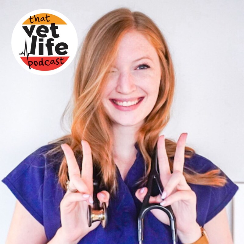 Artwork for podcast The 'So You're A Vet... Now What?' Podcast