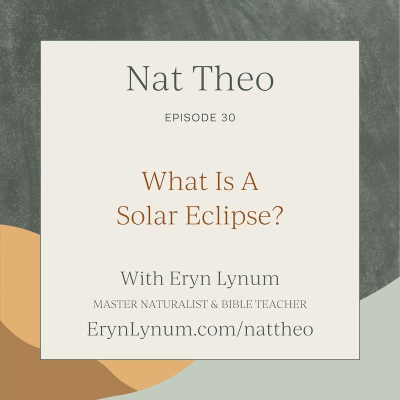 Artwork for podcast Nat Theo Nature Lessons Rooted in the Bible