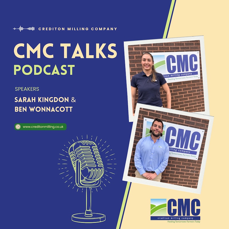 Artwork for podcast CMC Talks