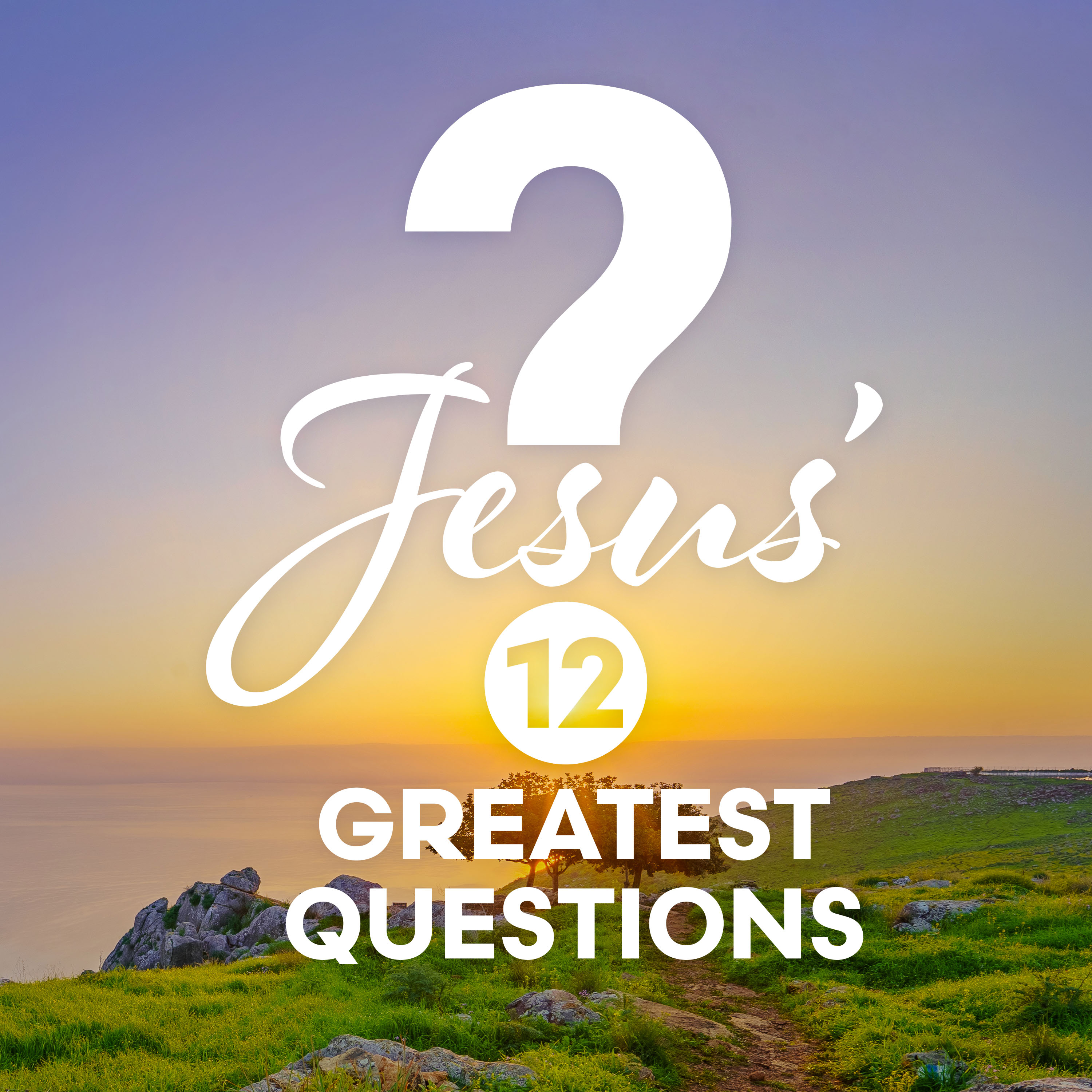 Artwork for Jesus' 12 Greatest Questions