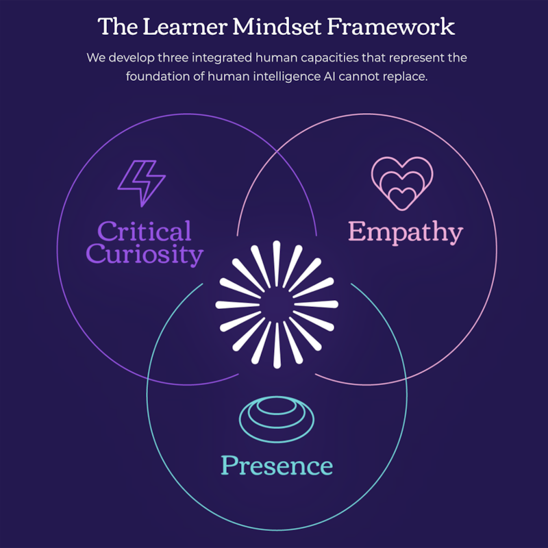 Artwork for podcast Learner Mindset Blog