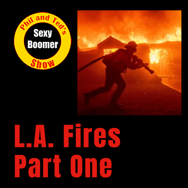 L.A. Fires Part One- The Future is Now