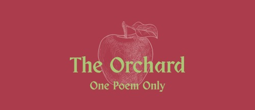 Image for 🍏 The Orchard 