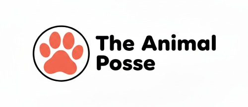Image for The Animal Posse 