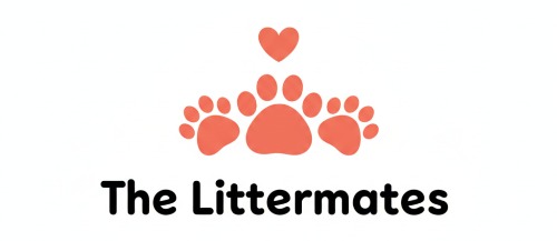 Image for The Littermates