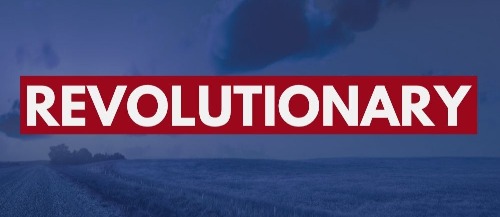 Image for Revolutionary